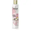 Pantene Pro-V Miracles Lift'N'Volume shampoing pour donner du volume a...