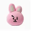 Peluche BTS COOKY 38CM coussin mignon