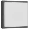 LCD Applique d'extérieur Ernest, graphite, 25 x 25 cm, E27, acier inoxydable