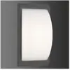 LCD Applique d’extérieur 053 en acier inox, graphite