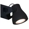 Martinelli Luce FROG