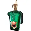 Xerjoff Fiero Eau de parfum 100 ml