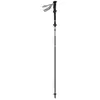 Gabel Bâtons Ibex Carbon Xts