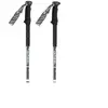 Gabel Bâtons Escape Carbon Tour Lite