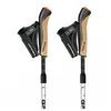 Gabel Bâtons Nordic Revo A1