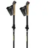 Gabel Bâtons Nordic Carbon Feather Xts