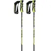 Gabel Bâtons Gs Carbon-r