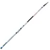 Lineaeffe Canne Coup Carbon
