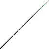 Fishing Ferrari Canne Bolognaise Talis Trout Tele 5