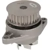 Pompe À Eau Metelli 24-0765