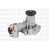 Pompe À Eau Metelli 24-0700