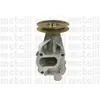 Pompe À Eau Metelli 24-0689