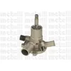 METELLI Pompe à eau pour PEUGEOT: 305, 204, 304 (Ref: 24-0095)