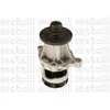 Pompe À Eau Metelli 24-0430