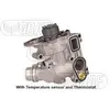 Pompe à eau PA1359 Graf PA1359