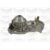 GRAF Pompe à eau pour RENAULT: R19, Clio, Extra, Lutécia, Express, Rapid (Ref: PA412)