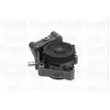 GRAF Pompe à eau pour IVECO: Daily & FIAT: Ducato & PEUGEOT: Boxer & CITROËN: Jumper, Relay (Ref: PA1026)