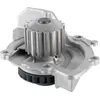 Pompe À Eau Metelli 24-1110