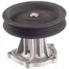 Pompe À Eau Metelli 24-1128