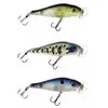 Molix Popper Shaman 12g 80 Mm