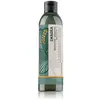 Elgon Green Imagea Absolute Shampoo shampoing illuminateur et fortifia...