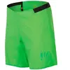KARPOS 2500937-273 LAVAREDO Over Short Shorts Homme Green Flash Taille L
