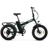 Vélo Électrique Nilox X8 PRO 20X4P Vert 250 W 20"