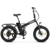 Vélo Électrique Nilox X8 PRO 20X4P Noir 250 W 20"