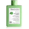 Teaology Matcha Tea Repair Shampoo shampoing fortifiant 250 ml