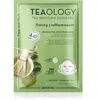 Teaology Matcha Tea Superfood Mask