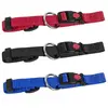 Collier pour chien Dogu Fido Noir 65" DG00100-black