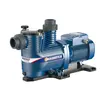 Pompe De Filtration Piscine Magnifica Pedrollo 5m 230v - 2.2 Kw - 36 M...