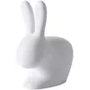 QEEBOO chaise RABBIT CHAIR (Gris clair - Polyéthylène)