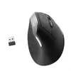 Ewent Souris Optique Ergonomique ew3229 Noir/Gris TU