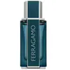 Parfum Homme Salvatore Ferragamo EDP Ferragamo Intense Leather (50 ml)