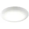 Zafferano MENTOS