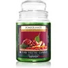 THD Italian Luxury Pomegranate bougie parfumée 600 g