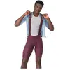 Cuissard Castelli Premio Evo violet - M