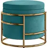HOMCOM Pouf Coffre Rond en Velours avec Espace de 24L et Couvercle Amo...