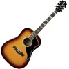 Eko RANGERVR6-EQ-HB - Guitare électro-acoustique Dreadnought - Honey Burst