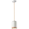Ferroluce - mateca C988-05, Suspension