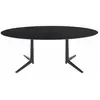 Table à manger ovale noire 192x118 Multiplo - Kartell