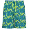Cmp Slip De Bain Boxer 34r9087 46