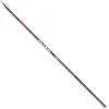 Falcon Canne Bolognaise Venere