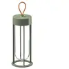 FLOS lampe de table IN VITRO UNPLUGGED (2700K, vert clair - aluminium ...