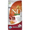 Farmina N&D GF POTIRON Poulet & Grenade Adulte Medium&Maxi KG.12