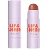 PUPA Milano - GET READY WITH STICK Blush 4 g Marron unisex