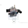 Facet 7.8673 Thermostat d'eau