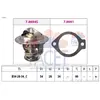 Facet 7.8694 Thermostat d'eau
