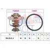 Facet 7.8403 Thermostat d'eau